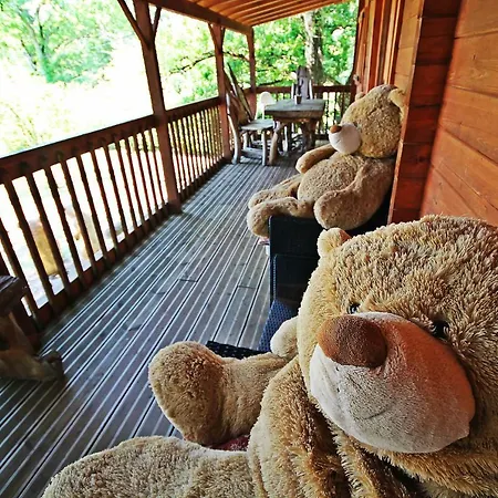 Pagel Daire Catus (Lot)