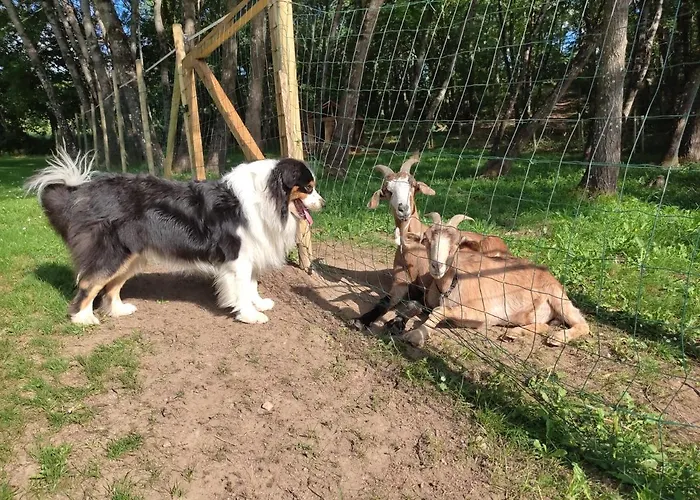 Apartment Pagel Catus (Lot)